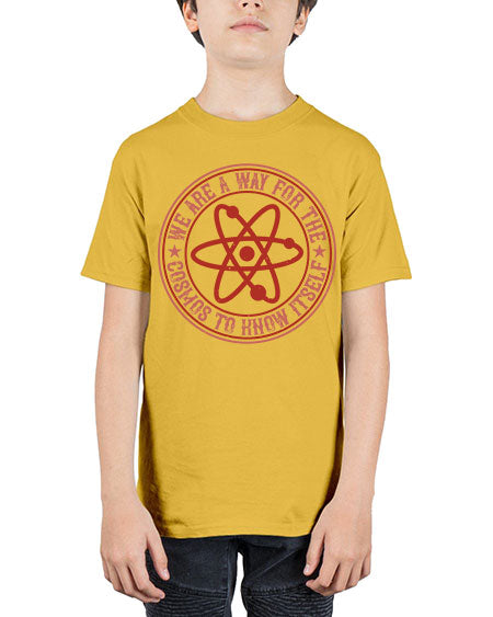 We are a way for the cosmos to know itself 300# - general science - Youth Tee Unisex