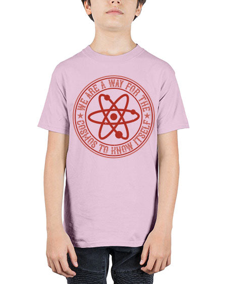 We are a way for the cosmos to know itself 300# - general science - Youth Tee Unisex