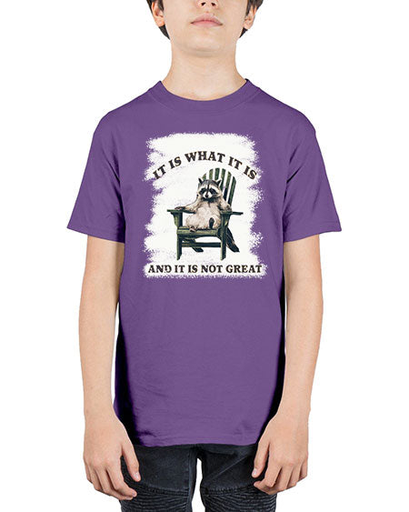 it is what it is and it is not great 23# - raccoon - Youth Tee Unisex