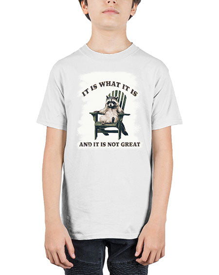it is what it is and it is not great 23# - raccoon - Youth Tee Unisex