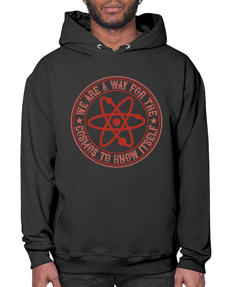 We are a way for the cosmos to know itself 300# - general science- Hoodie
