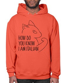How Do You Know I am Italian - cats- Hoodie
