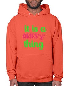 It is a aries thing 253# - aries- Hoodie