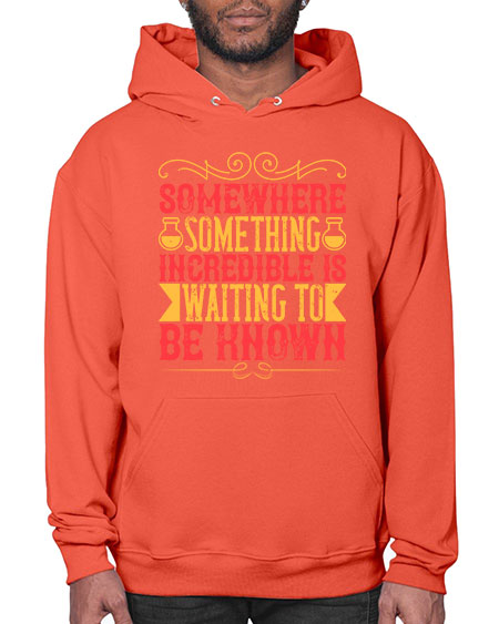 Somewhere something incredible is waiting to be known 312# - general science- Hoodie