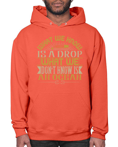 What we know is a drop what we dont know is an ocean 298# - general science- Hoodie