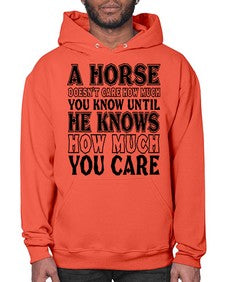 a horse doesnt care how much you know until - horse- Hoodie