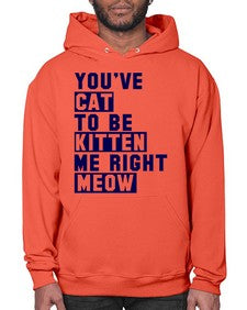 youve cat to be kitten me right now - cats- Hoodie