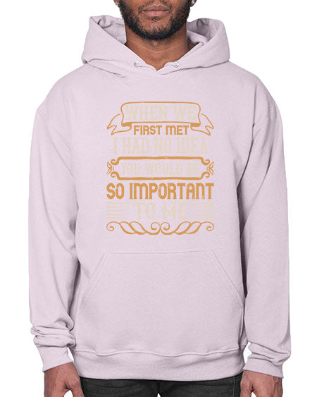 When we first met i had no idea you would be so important to me Style 10# - pig- Hoodie