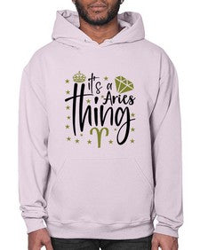 its a Aries thing 261# - aries- Hoodie
