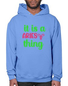 It is a aries thing 253# - aries- Hoodie