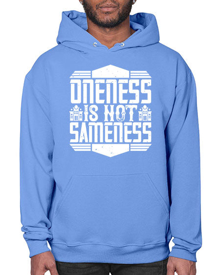 Oneness is not sameness Style 336# - architect- Hoodie