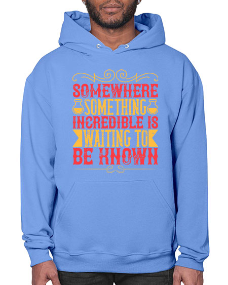 Somewhere something incredible is waiting to be known 312# - general science- Hoodie