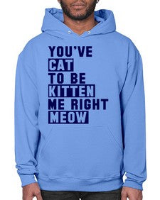 youve cat to be kitten me right now - cats- Hoodie
