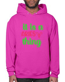 It is a aries thing 253# - aries- Hoodie