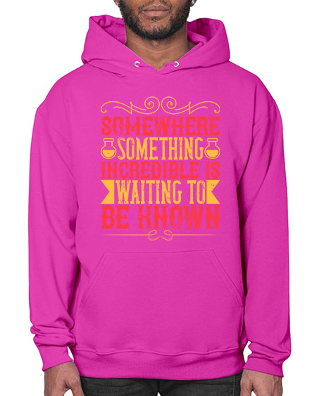 Somewhere something incredible is waiting to be known 312# - general science- Hoodie