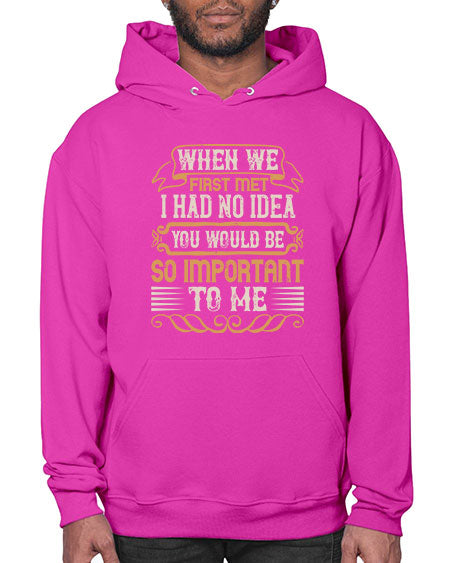 When we first met i had no idea you would be so important to me Style 10# - pig- Hoodie