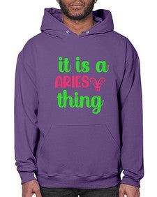It is a aries thing 253# - aries- Hoodie