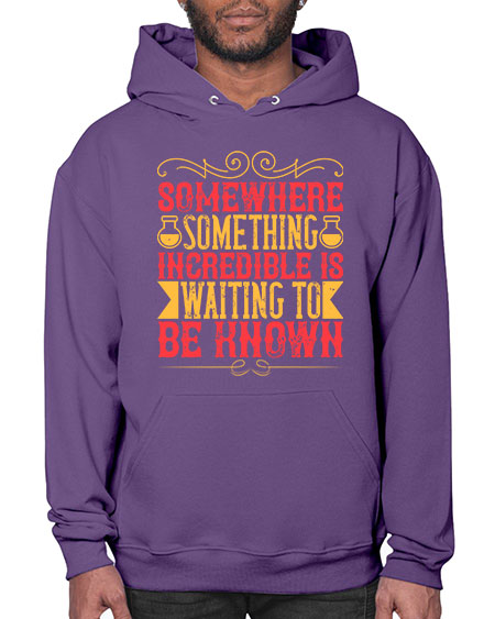 Somewhere something incredible is waiting to be known 312# - general science- Hoodie