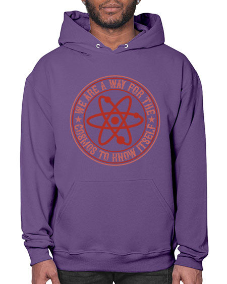 We are a way for the cosmos to know itself 300# - general science- Hoodie