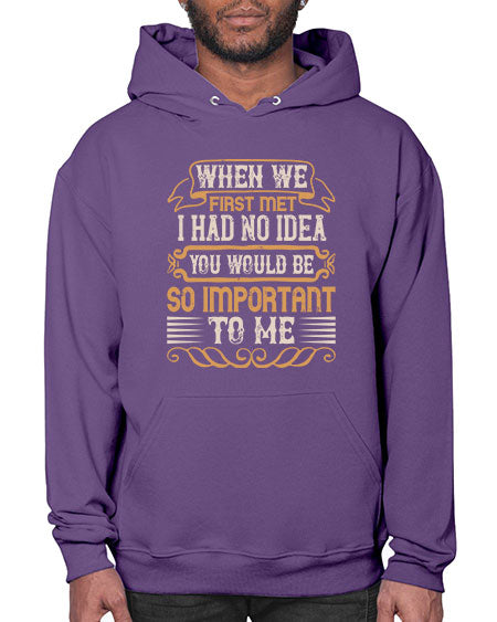When we first met i had no idea you would be so important to me Style 10# - pig- Hoodie