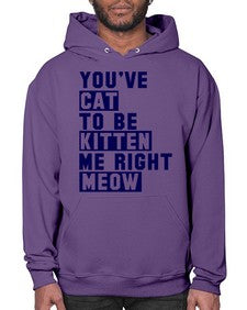 youve cat to be kitten me right now - cats- Hoodie
