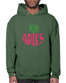 Aries 101# - aries- Hoodie