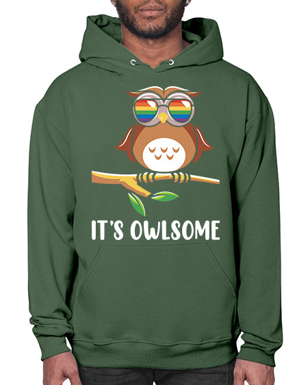 Funny Owl Gift Im Owlsome A TurtleRabbit 7# - owl- Hoodie