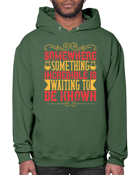 Somewhere something incredible is waiting to be known 312# - general science- Hoodie