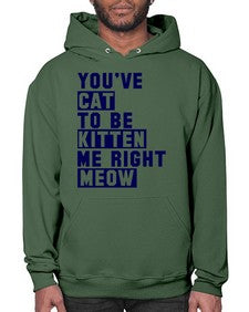 youve cat to be kitten me right now - cats- Hoodie