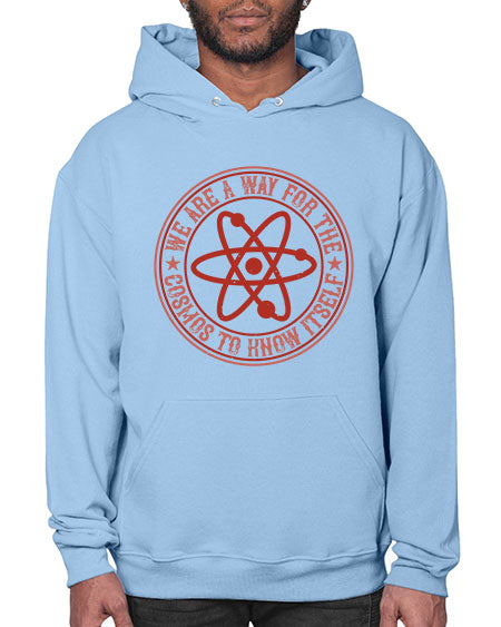 We are a way for the cosmos to know itself 300# - general science- Hoodie