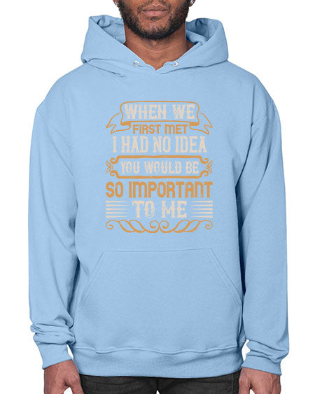 When we first met i had no idea you would be so important to me Style 10# - pig- Hoodie