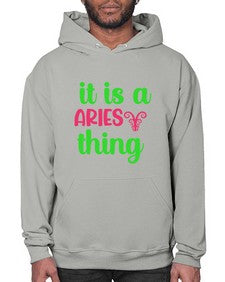 It is a aries thing 253# - aries- Hoodie