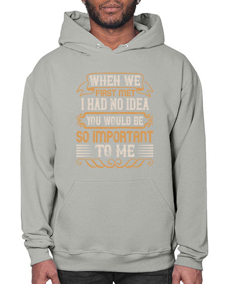 When we first met i had no idea you would be so important to me Style 10# - pig- Hoodie