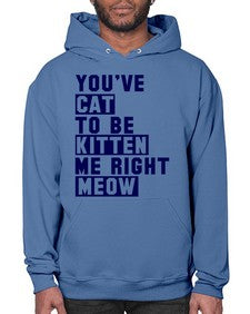 youve cat to be kitten me right now - cats- Hoodie