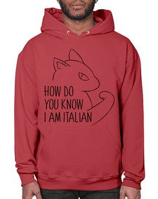 How Do You Know I am Italian - cats- Hoodie