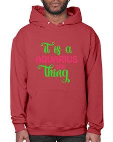 It is a aquarius thing 252# - aquarius- Hoodie