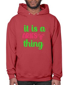 It is a aries thing 253# - aries- Hoodie