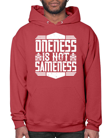 Oneness is not sameness Style 336# - architect- Hoodie