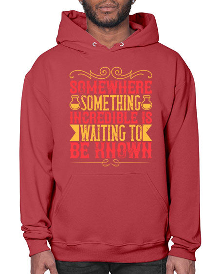 Somewhere something incredible is waiting to be known 312# - general science- Hoodie