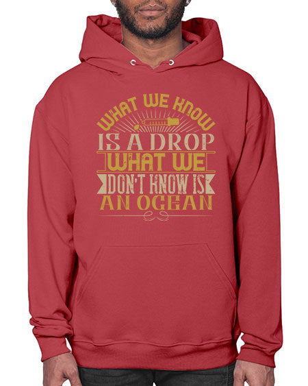 What we know is a drop what we dont know is an ocean 298# - general science- Hoodie