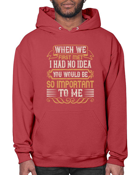 When we first met i had no idea you would be so important to me Style 10# - pig- Hoodie