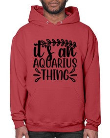 its an aquarius thing 275# - aquarius- Hoodie