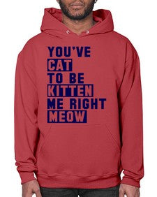 youve cat to be kitten me right now - cats- Hoodie