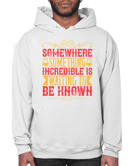 Somewhere something incredible is waiting to be known 312# - general science- Hoodie