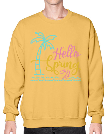Hello Spring x Style 64# - summer- Sweatshirt - Crew