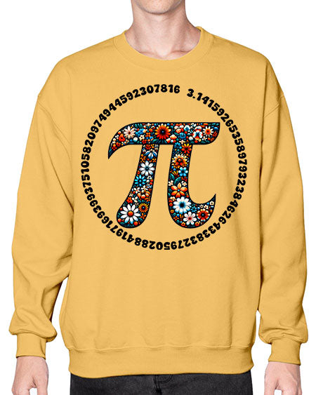 Pi Day Sweatshirt Funny Math 19# - pi- Sweatshirt - Crew