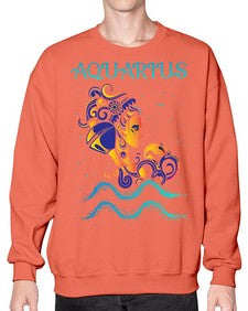 aquarius 13# - aquarius- Sweatshirt - Crew