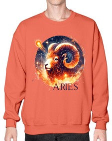 aries 130# - aries- Sweatshirt - Crew