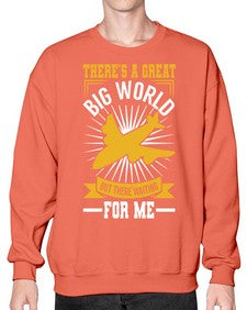 theres a geat big world waiting for me  42# - airplane- Sweatshirt - Crew