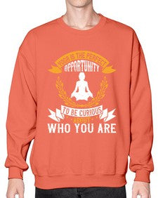 yoga is the perfect opportunity to be curious about who you are  625# - yoga- Sweatshirt - Crew